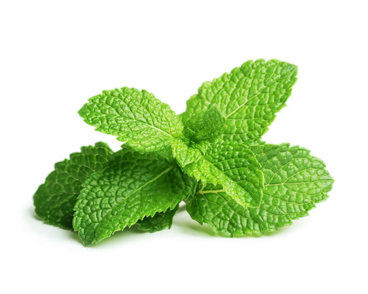 Peppermint Oil Additive